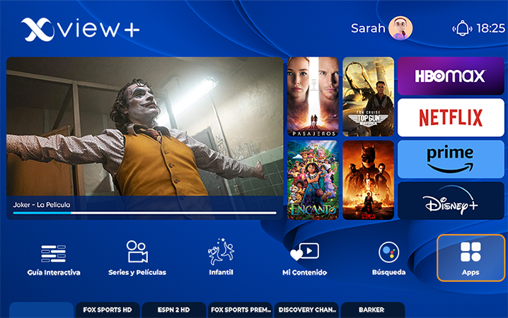 imagen de xview pantalla